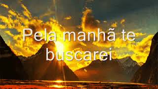 Pela Manhã Te Buscarei [upl. by Marilla]