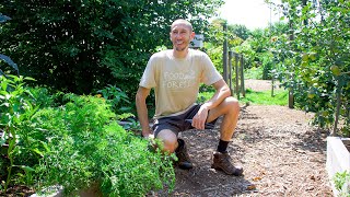 Permaculture Garden Tour  100 Organic BACKYARD Gardening at its Finest [upl. by Woodberry331]