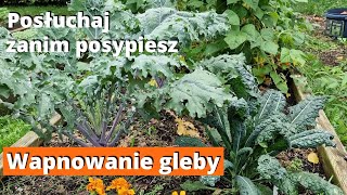 Wapnowanie gleby Czy jest konieczne w ogrodzie ekologicznym [upl. by Noswal]