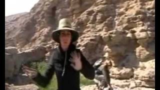 Arabian leopard conservation Oman Video diary by expedition participant Rasha Skybey [upl. by Binni79]