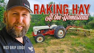 Raking Hay With Vintage 50s Ford Tractor and New Holland RollaBar Rake [upl. by Linn]