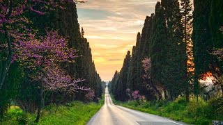 Toscana ecco dove si trova la strada poetica [upl. by Carrol]