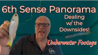 6th Sense Panorama Dealing with the Downsides [upl. by Modeerf]