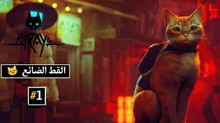 تختيم لعبة القط 🐱🔥 stray 1 [upl. by Thier]