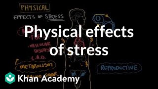 Physical effects of stress  Processing the Environment  MCAT  Khan Academy [upl. by Mazman]