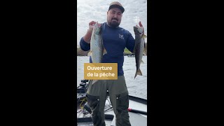 C’est parti pour la pêche à la ouananiche  Vidéojournal [upl. by Dublin]