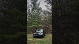 Zenning with my Tesla in nature It’s calming hearing leaves rustling and birds chirping tesla [upl. by Redvers]