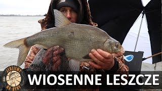 Wiosenne LESZCZE  przesunięty zestaw  Bullet Feeder [upl. by Bashemath]