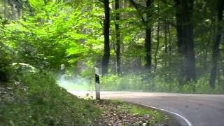 4SST ADAC Rallye Warndt HISTORIC  MWVideo [upl. by Seigler]