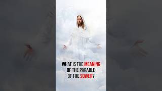 The Parable of the Sower  Matthew 13 part 2  meaning bibleparables animatedbible biblestory [upl. by Connor]