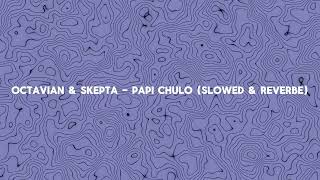 Octavian amp Skepta  Papi Chulo Slowed amp Reverbe [upl. by Amesari]