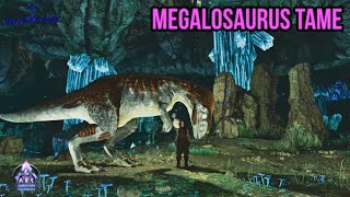 Aberration Megalosaurus Tame [upl. by Apfelstadt275]