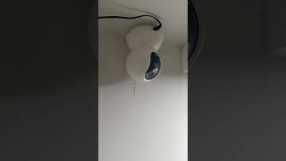 Wifi camera 😱😱camera wificamera viralshort subscribe [upl. by Elyn]