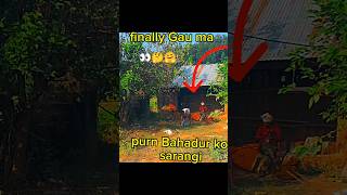 Purn Bahadur ko sarangi 💭😩minivlog keeplovin viralvideo LaphaBro Lx11yx1zl plzdosuporrt🙏 [upl. by Chevy]