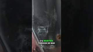 Inspecting a Van Shocking Rust Damage Revealed [upl. by Erdnassac]