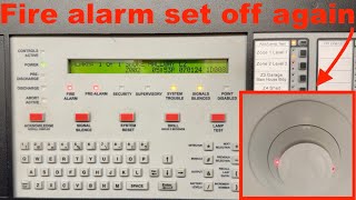 Home Fire Alarm System Gets Set Off Again [upl. by Aiciled]