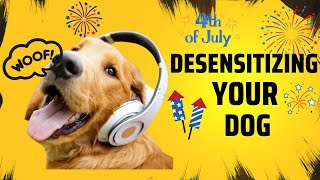 4th of July Desensitization for Dogs Fireworks White Noise [upl. by Thesda]