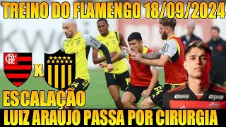 TREINO FLAMENGO  18092024  ALCARAZ SE DESTACA EM TREINOS  ESCALAÇÃO CONTRA O PEÑAROL NA LIBERTA [upl. by Ahsinaw934]