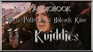 Harry Potter és a Bölcsek Köve hangoskönyv  11 fejezet [upl. by Alleunamme501]