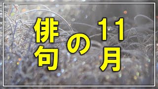 「11月」季語と俳句【俳句の基本】 [upl. by Threlkeld]