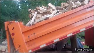 Pine Firewood getting piled up by the Ford L8000 [upl. by Lapointe]