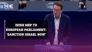 Irish MEP to European Parliament ‘Sanction Israel now’ [upl. by Vinnie647]