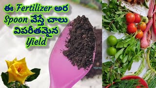 Fertilizer కేవలం అర spoon వేస్తే చాలు చాలా హార్వెస్ట్ ఒస్తుందిTelugu Gardener with ArtsHarvest [upl. by Idna648]