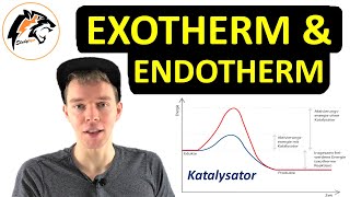 Exotherme amp Endotherme Reaktionen  Energiediagramme erklärt [upl. by Ynos]