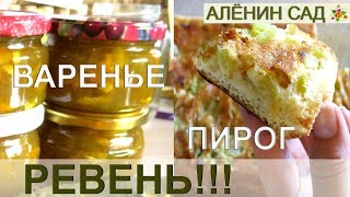 Вкусный ПИРОГ И ВАРЕНЬЕ из ревеня  Рецепты с ревенем  Как варить варенье [upl. by Haroun]