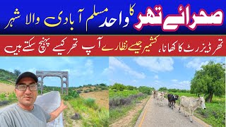 Thar Pakistan  Travel adventure in desert  Greenest desert in the world  Easy way to the desert [upl. by Ynatirb]