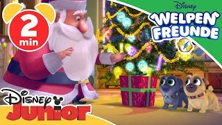 Die Welpen helfen Santa  Welpen Freunde  Disney Junior Kurzgeschichten [upl. by Sido]