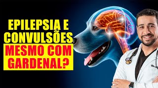 Cachorro com EPILEPSIA e CONVULSÕES mesmo tomando Gardenal  Dr Alex de Alcântara [upl. by Felton250]