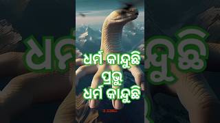 ଧର୍ମ କାନ୍ଦୁଛି ପ୍ରଭୁ ଧର୍ମ କାନ୍ଦୁଛି odia bhajan song shortsodisha [upl. by Kalle]