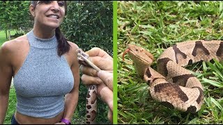 Got too close to copperhead snake Then used snake tongs to catch venomous snake [upl. by Eniahs276]