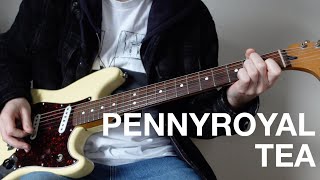 Nirvana  Pennyroyal Tea Guitar cover [upl. by Balough]