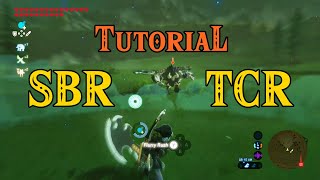 How to perform SBR amp TCR  BotW Mustlearn Advance Combat [upl. by Weslee557]