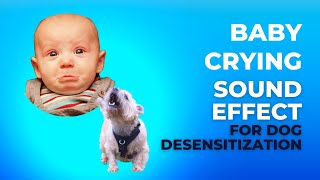 Baby Crying Sound Effect for Dogs [upl. by Anel]