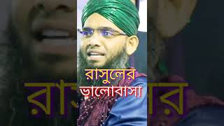 রাসুলের ভালোবাসা Maulana Ghazi Suleman Al Qadri abdullahhdtv [upl. by Anoerb]