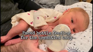 Paced bottle feeding for the breast fed baby [upl. by Jemmy]