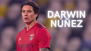 Darwin Nunez Highlights [upl. by Aikenahs]