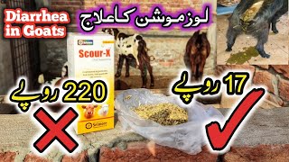 bakri ke loose motion ka Desi ilaj  diarrhea treatment in goats [upl. by Pry409]