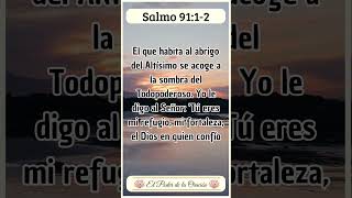 Mensaje Bíblico de hoy Salmo 91 12 Fe VersiculoDeLaBiblia TextosBiblicos EstudioBiblico [upl. by Lontson525]