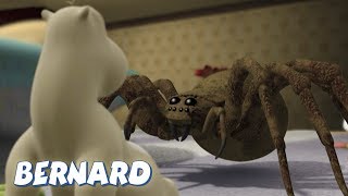 Bernard Bear  The Moth AND MORE  30 min Compilation  Cartoons for Children [upl. by Brita]