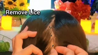 ASMR Remove Lice and their eggs  Scratching  No Talking 😴💤🥱 [upl. by Balliett]