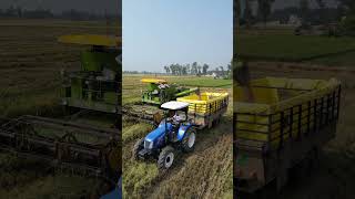 New holland 6510 44 youtubeshorts newhollond farming jattlife [upl. by Suiravad]