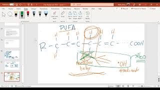 Lipid Peroxidation [upl. by Vivi]