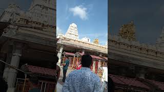 Kanchipuram Temple [upl. by Razal]