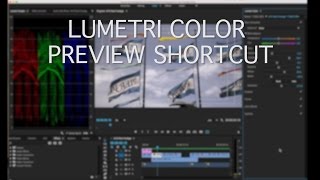 Lumetri Color Preview Shortcut [upl. by Bowler]