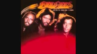 The Bee Gees  Search Find [upl. by Anelas]