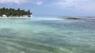 MORNING ON SAONA ISLAND DOMINICAN REPUBLIC [upl. by Ettenuahs]